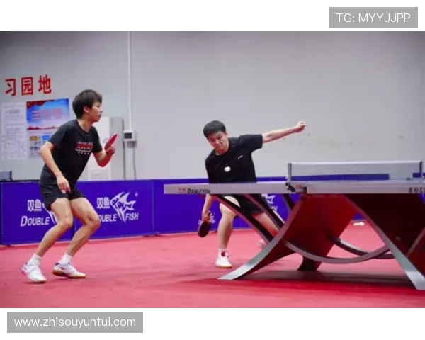 深圳乒乓球队进攻策略分析与比赛表现的得失总结 深圳乒乓球队进攻策略分析与比赛表现的得失总结