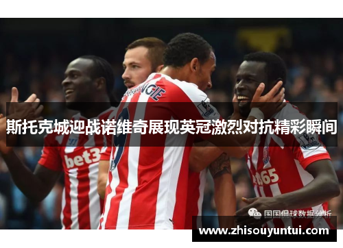斯托克城迎战诺维奇展现英冠激烈对抗精彩瞬间